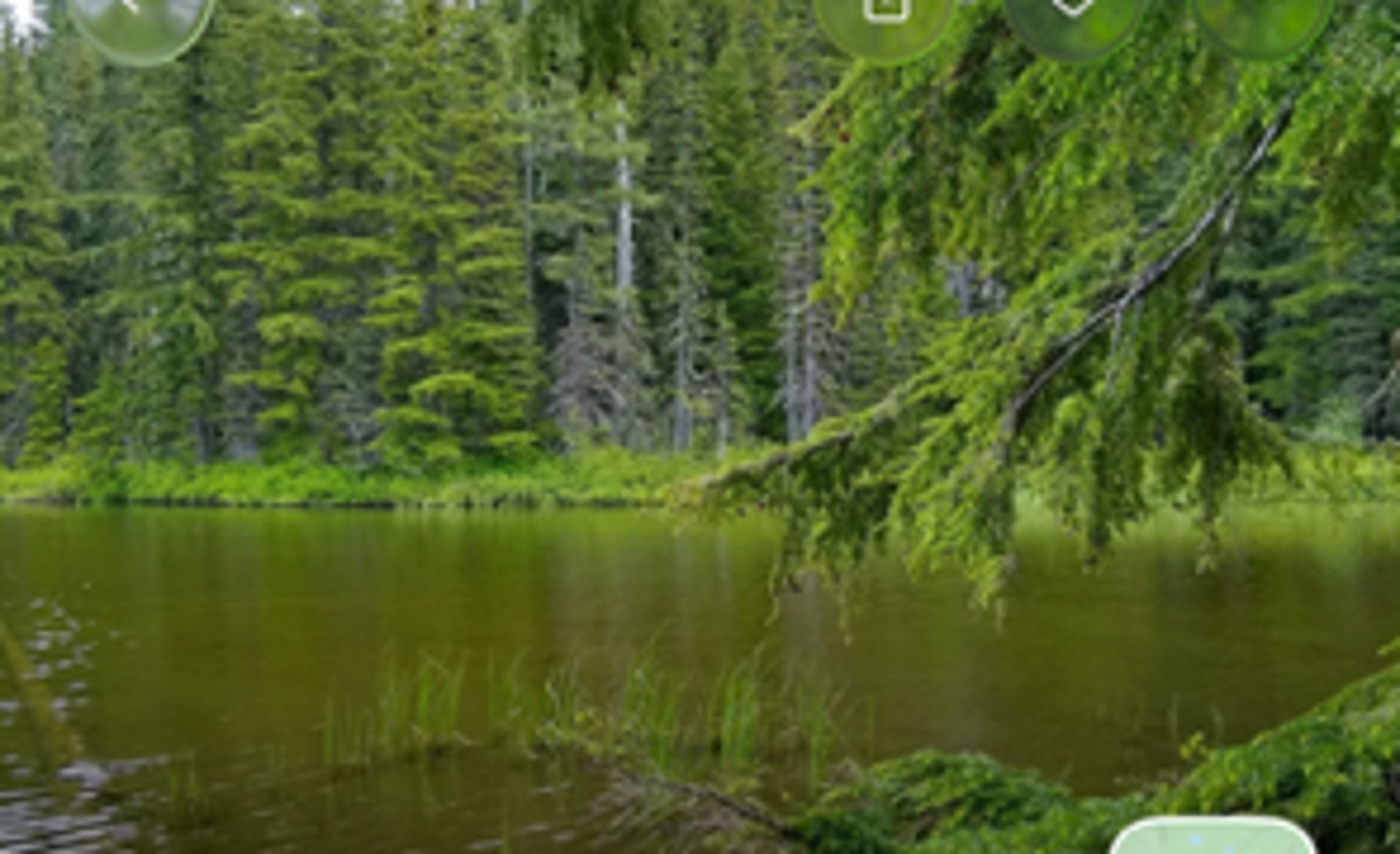 Forest and lake from the supplied Temple Lake reference